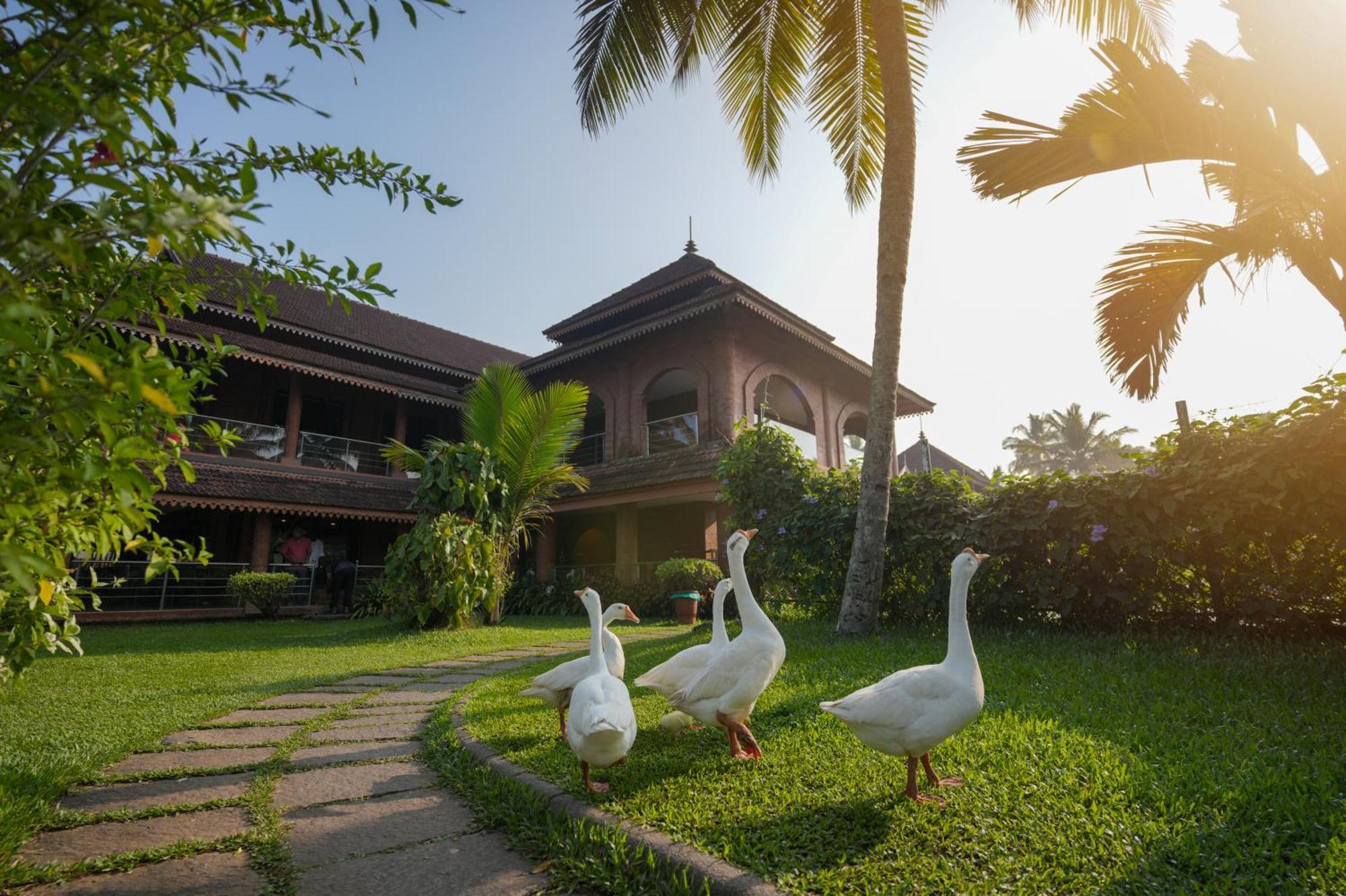 Lakesong Resort Kumarakom Eksteriør billede