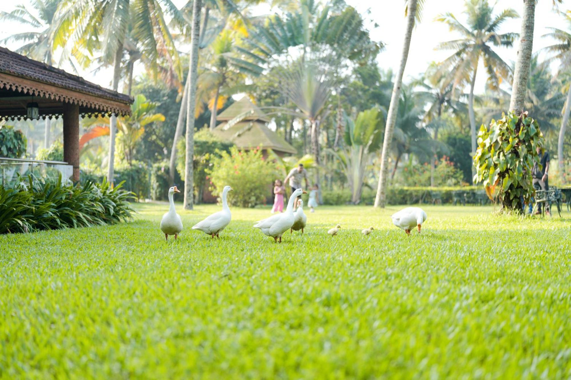 Lakesong Resort Kumarakom Eksteriør billede